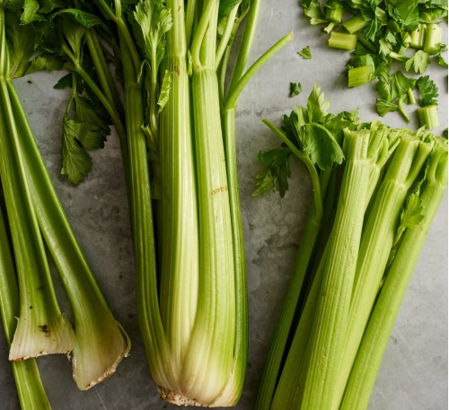 Celery Pascal